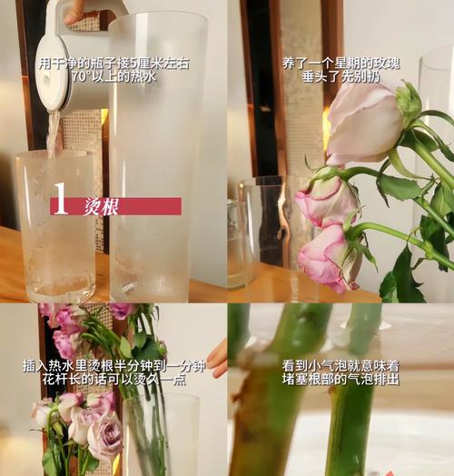 花束蔫了怎么办？如何延长鲜花的寿命（掌握几个简单技巧，让花束更加持久）-第2张图片-绿意生活