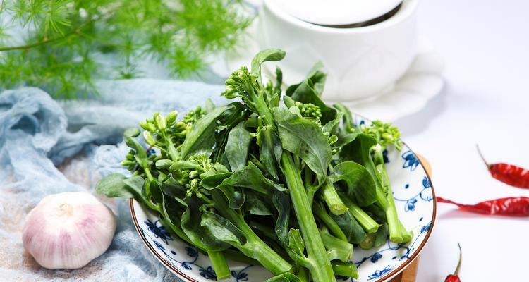 以菜穿心莲插枝繁衍，打造美丽庭园（以菜穿心莲如何插枝繁衍美丽花园）-第2张图片-绿意生活