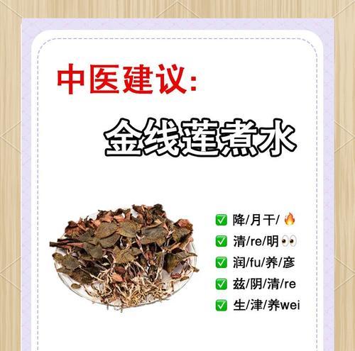 金钱莲的养护指南（打造一个繁茂健康的金钱莲——）-第3张图片-绿意生活