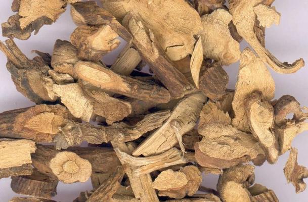 山豆根和北豆根一样吗？——探究两者的区别（了解山豆根和北豆根的异同点，让你对它们更有信心）-第3张图片-绿意生活