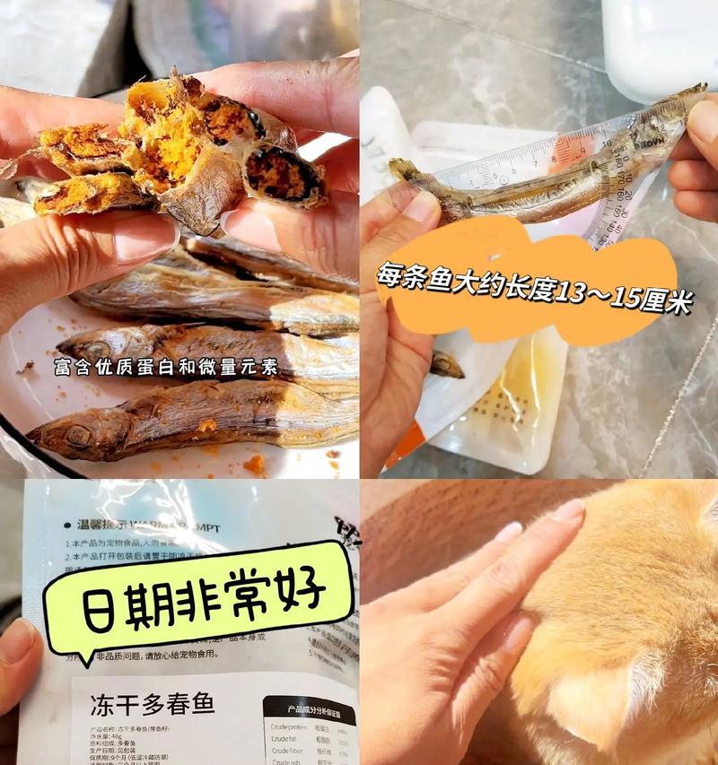 野生鱼子的养殖技巧（培养出高品质鱼子的关键）-第1张图片-绿意生活