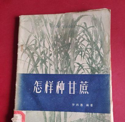 甘蔗种植技术全解析（提高产量、质量，掌握这些关键技术！）-第3张图片-绿意生活
