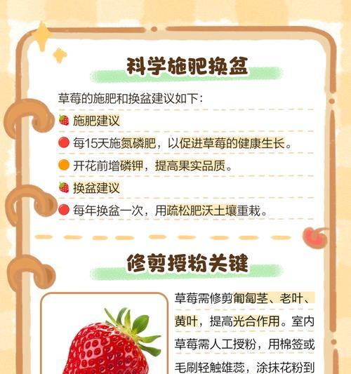 阳台草莓的肥料施用技巧（打造丰收甜美的阳台草莓，掌握这些关键要点！）-第3张图片-绿意生活