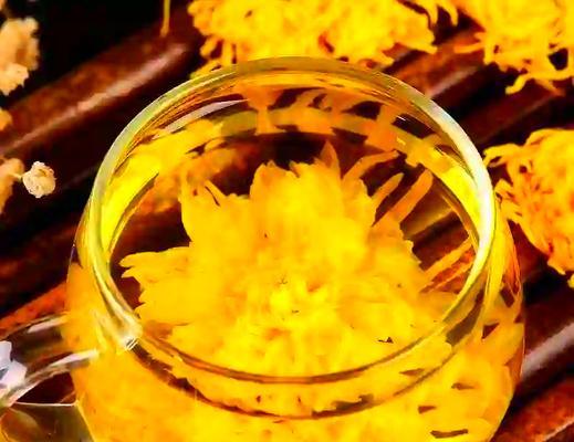 金丝皇菊的开花时间及花期（了解这种美丽花卉的生长习性和最佳观赏时间）-第2张图片-绿意生活