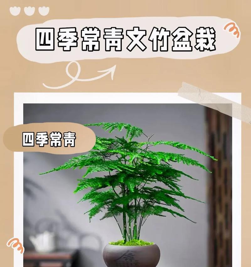 如何防止养的盆栽变得蔫（有效的护理技巧让盆栽长势旺盛）-第1张图片-绿意生活