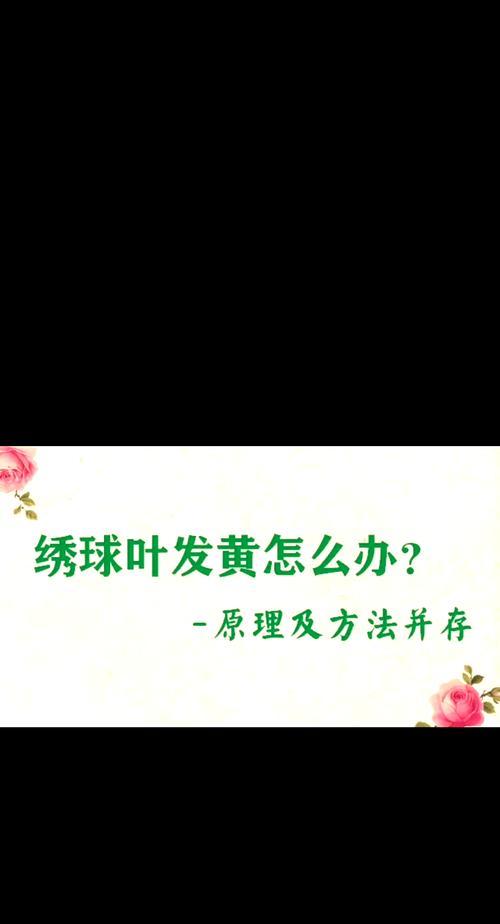 揭秘绣球花新叶子发黄的原因（探究绣球花叶子黄化的关键因素及解决方法）-第1张图片-绿意生活
