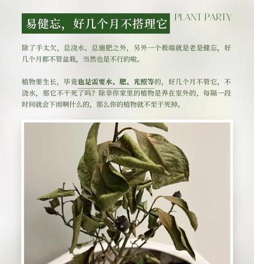 植物抢救大作战（灾难中逆袭的秘密武器与技巧，挽救植物生命力的关键）-第3张图片-绿意生活