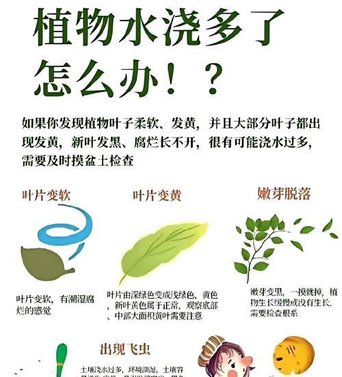 植物抢救大作战（灾难中逆袭的秘密武器与技巧，挽救植物生命力的关键）-第2张图片-绿意生活