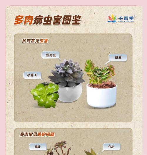 多肉植物的虫害防治（保护多肉植物免受虫害侵袭的方法与技巧）-第1张图片-绿意生活