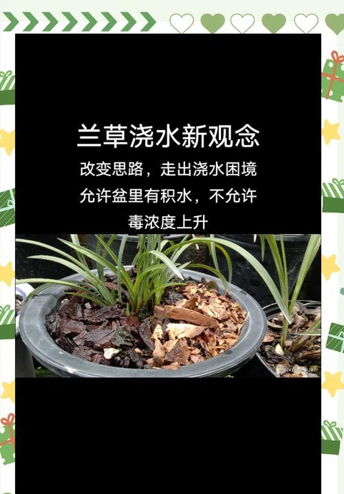 探秘兰草的多样品种及特色（从花形、色彩到气味，兰草的品种繁多）-第1张图片-绿意生活