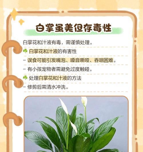 低温下如何养护白掌（白掌养护技巧，让您的植物健康茁壮）-第1张图片-绿意生活