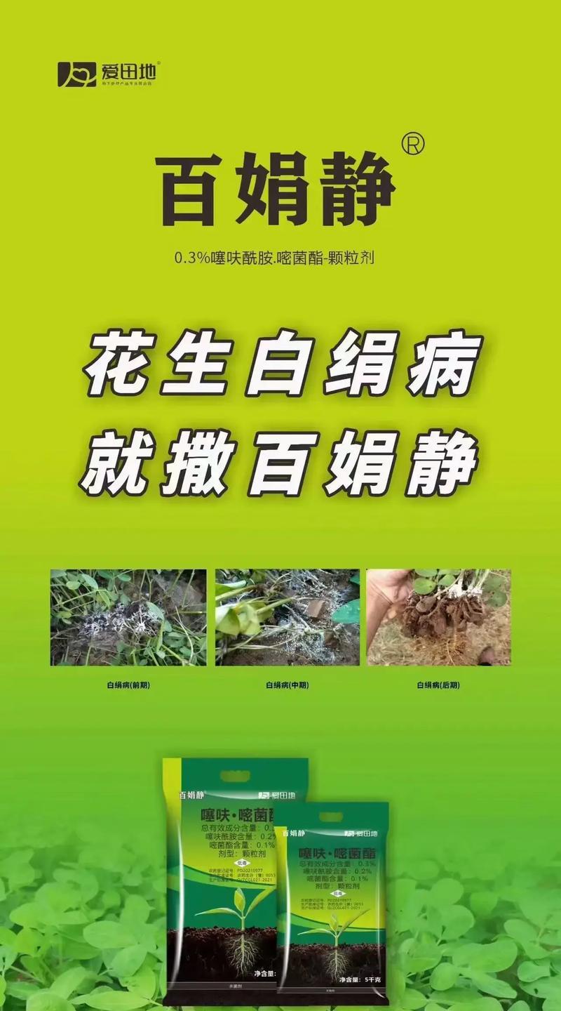 白绢病的发生及预防措施（探讨白绢病的成因、症状及预防方法）-第1张图片-绿意生活