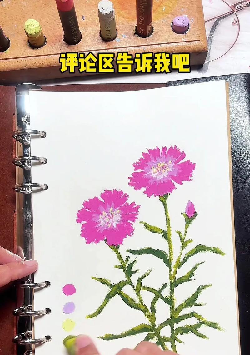 以石竹花怎么繁殖为主题写文章（探索石竹花的繁殖方式，快速扩大花园的美丽）-第1张图片-绿意生活