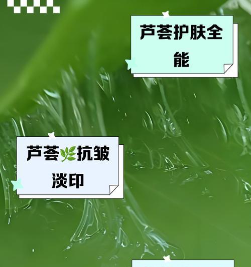 探秘龙爪芦荟的健康功效（发现龙爪芦荟的营养成分和药用价值）-第1张图片-绿意生活