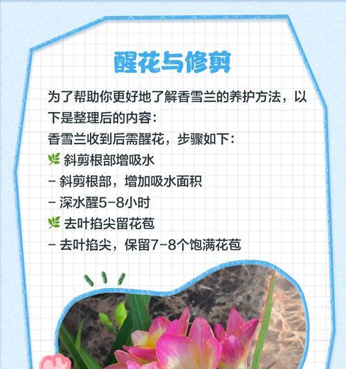 香雪兰叶子枯萎发黄的原因及治疗方法（探究香雪兰叶子枯萎发黄的相关问题以及有效的处理方法）-第3张图片-绿意生活
