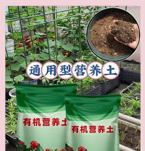 营养土与普通土的使用比较（提升植物生长的关键——营养土）-第2张图片-绿意生活