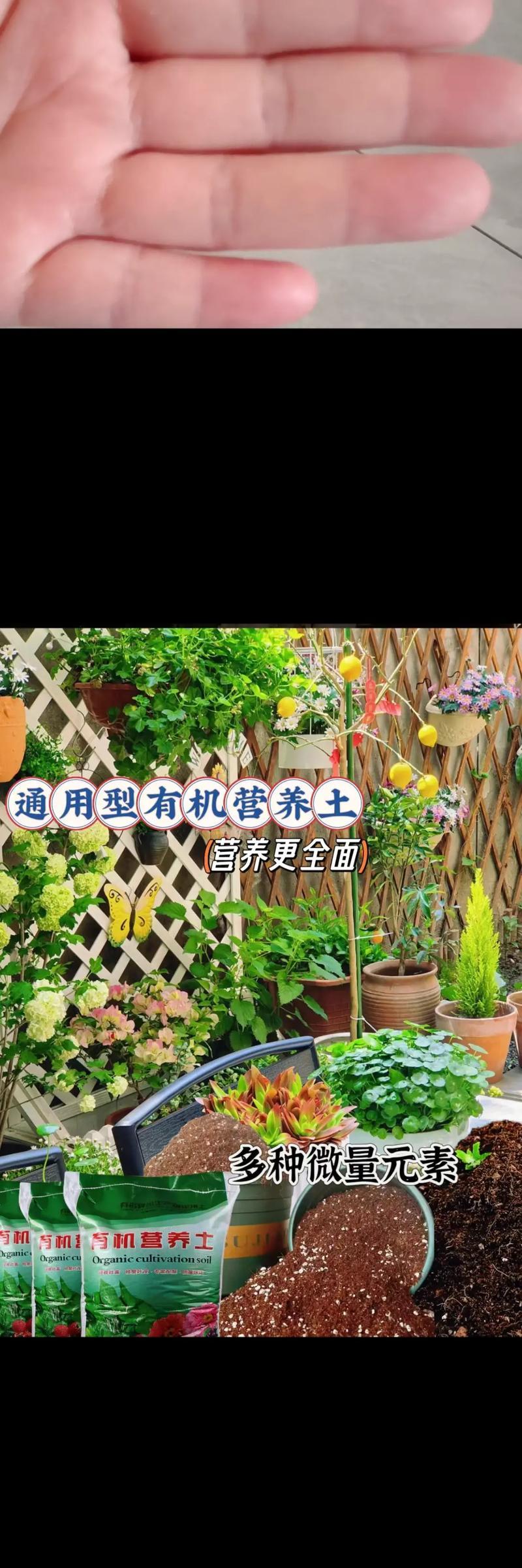 营养土与普通土的使用比较（提升植物生长的关键——营养土）-第3张图片-绿意生活