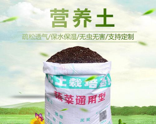 无土花的神奇魅力（探索无土花的栽培技术与独特之处）-第2张图片-绿意生活