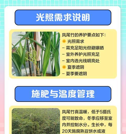 凤尾竹干叶尖的利用价值与应用方法（探索凤尾竹干叶尖的多种用途和加工技巧）-第3张图片-绿意生活