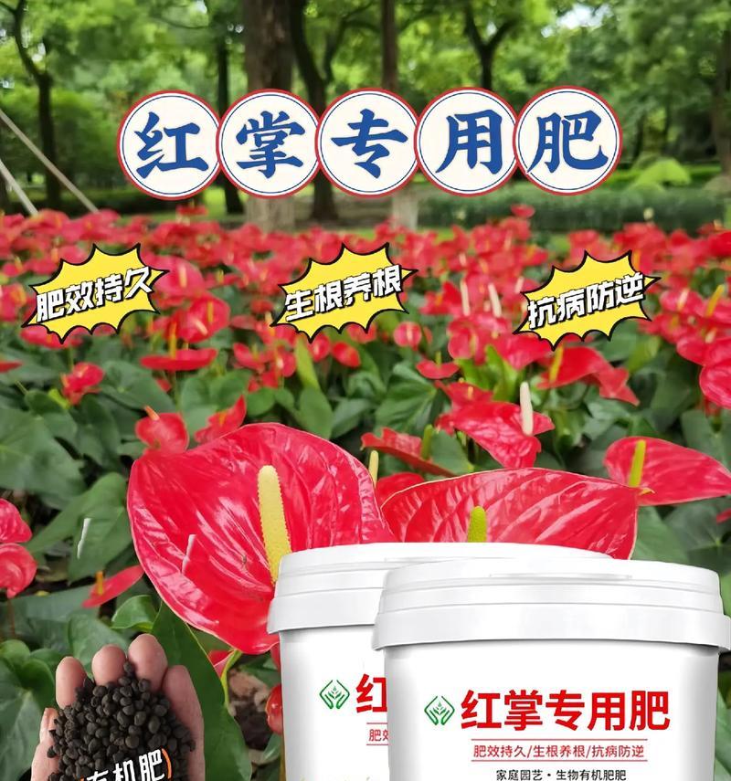 红掌得病了怎么办？（红掌病的症状、治疗和预防一览）-第2张图片-绿意生活
