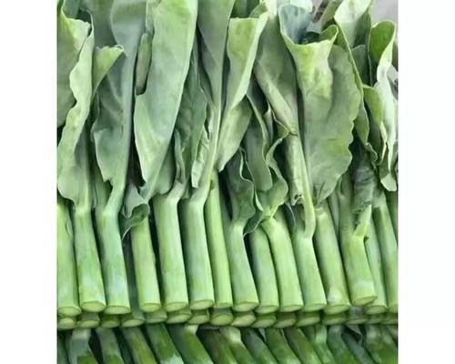 芥兰种植指南（最佳时间、种植技巧、施肥方法等详解）-第1张图片-绿意生活