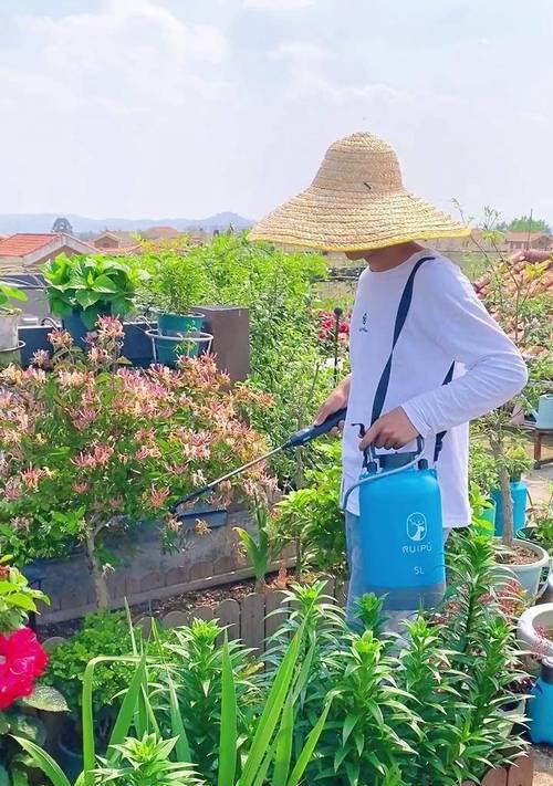 半个月不在家，如何科学浇花（掌握关键技巧，让花草依旧茁壮生长）-第2张图片-绿意生活