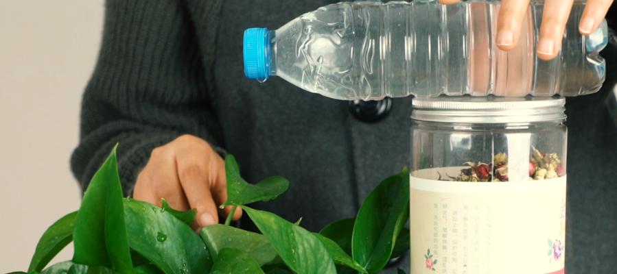 半个月不在家，如何科学浇花（掌握关键技巧，让花草依旧茁壮生长）-第3张图片-绿意生活