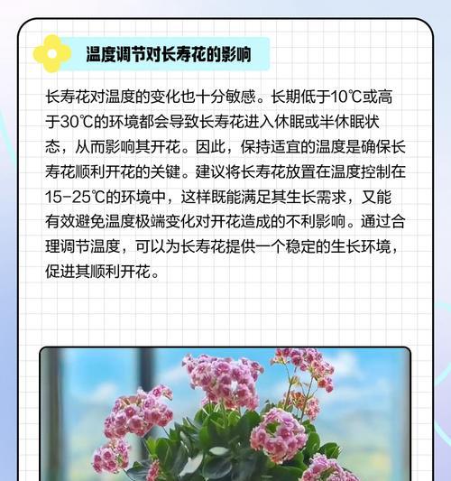 长寿花长成树了不开花怎么办？（解决长寿花长成树却不开花的问题）-第2张图片-绿意生活