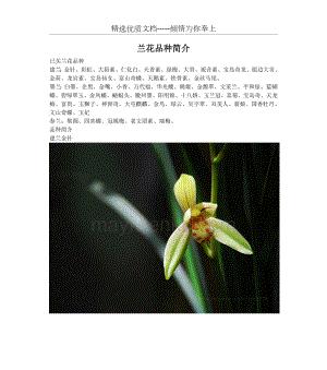 探究兰花品种分类的方法和特征（通过关键特征区分兰花品种，助你成为兰花专家）-第3张图片-绿意生活
