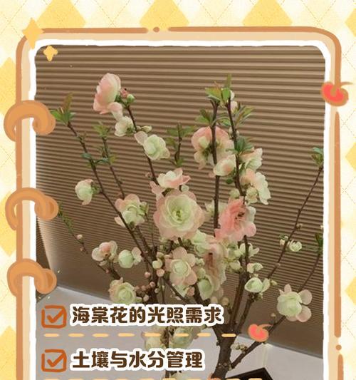 夫妻海棠的养殖方法和注意事项（打造美丽花园，从夫妻海棠开始）-第1张图片-绿意生活