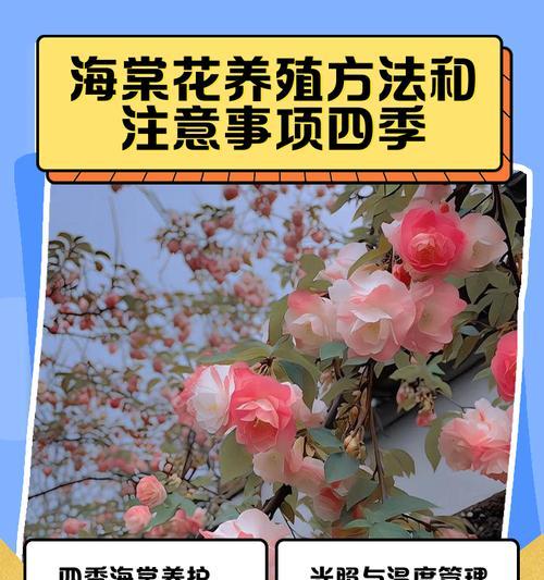 夫妻海棠的养殖方法和注意事项（打造美丽花园，从夫妻海棠开始）-第3张图片-绿意生活