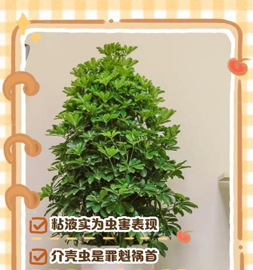 白色虫子在鸭掌木上的特征和影响（探索鸭掌木上白色虫子的起源与生态系统变化）-第1张图片-绿意生活