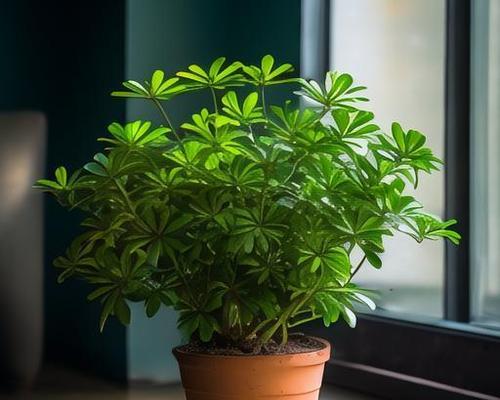 白色虫子在鸭掌木上的特征和影响（探索鸭掌木上白色虫子的起源与生态系统变化）-第3张图片-绿意生活