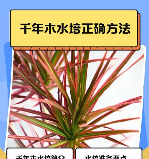 千年本怎样养殖（科学方法培育千年本，提高养殖效益）-第2张图片-绿意生活