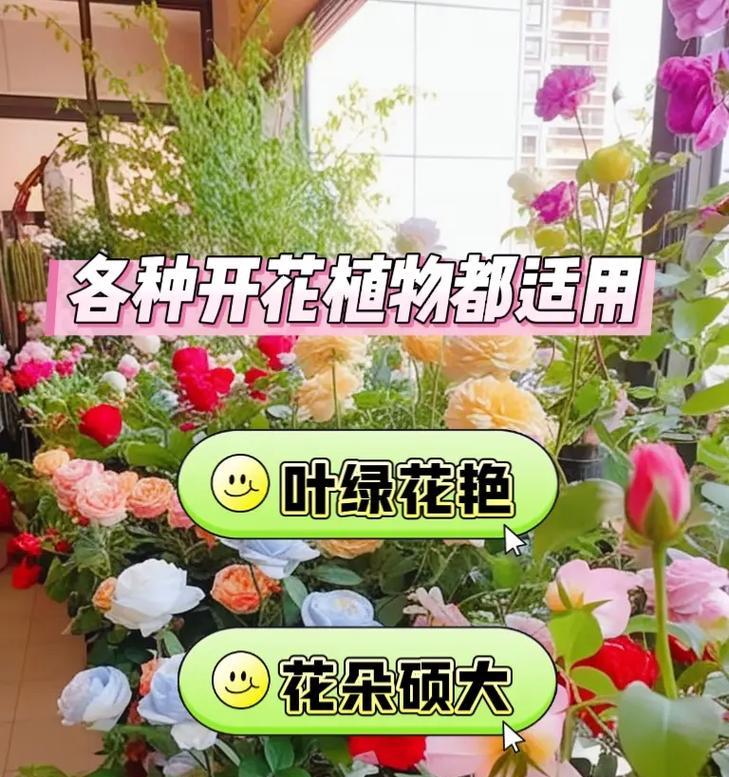 如何为花施加化肥？（科学施肥，让花儿健康茁壮成长）-第1张图片-绿意生活