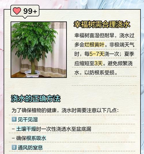 谨防过度追求幸福（以幸福浇水太多会给人带来的负面影响）-第3张图片-绿意生活