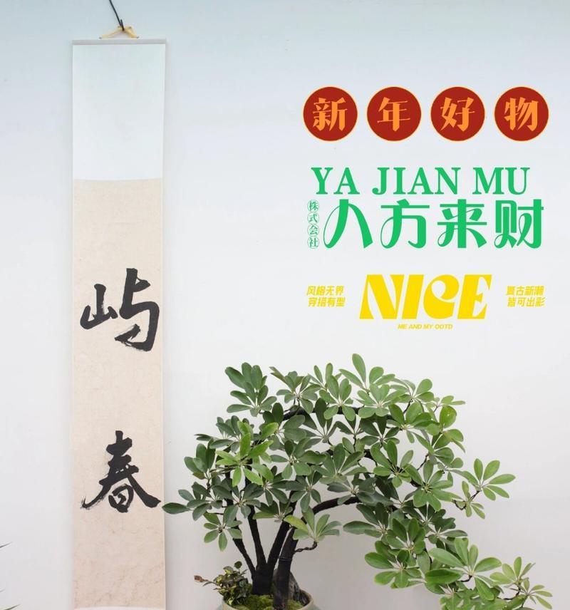 探索摇钱树之奥秘（揭开财富的源泉，实现财务自由）-第3张图片-绿意生活