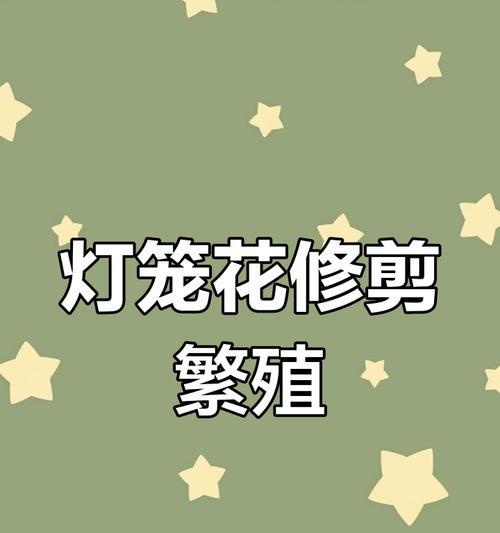 进口灯笼花的扦插技巧（从选择到管理，助你成功种植进口灯笼花）-第2张图片-绿意生活