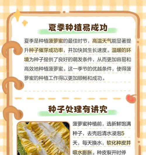 菠萝种植全攻略（从选择品种到施肥养护，一步步教你种出丰收的菠萝）-第1张图片-绿意生活