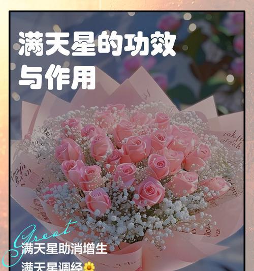 满天星的花语之不同颜色的含义（解读满天星不同颜色所蕴含的花语，揭示情感和心情）-第1张图片-绿意生活