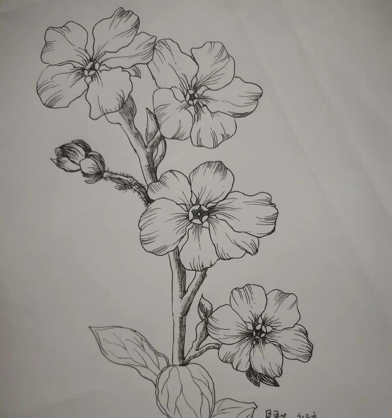 以勿忘我鲜花的绘画技巧与表现方法（轻松学会画出逼真的勿忘我花朵，让作品充满生机）-第1张图片-绿意生活