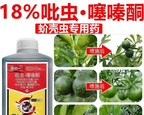 以根粉介壳虫的治疗方法和控制措施（控制根粉介壳虫侵害的关键措施和防治方法）-第2张图片-绿意生活