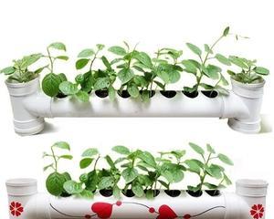 在阳台管道上挂花的技巧与方法（打造美丽花园，让阳台生机焕发）-第1张图片-绿意生活