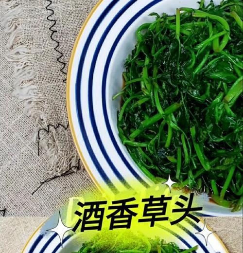 草头是什么？草头的别名、特征和用途详解（认识草头，了解这个神奇的植物）-第3张图片-绿意生活