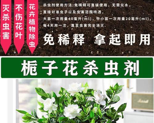 除虫守护花园，以枝枝花里的虫子怎么除？（保护花园生态平衡，有效去除害虫）-第3张图片-绿意生活