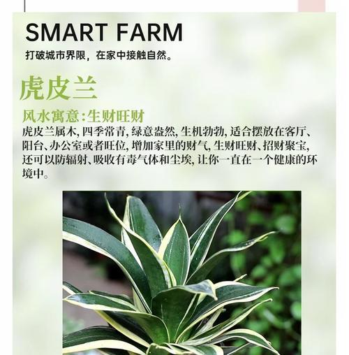 红玉兰的寓意与象征风水（传承历史文化的植物）-第1张图片-绿意生活
