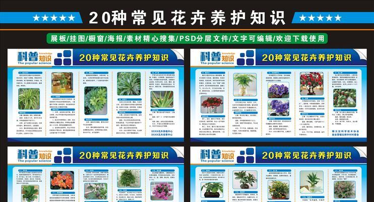 花卉养护期（掌握关键养护期，让花卉绽放更美的风采）-第2张图片-绿意生活