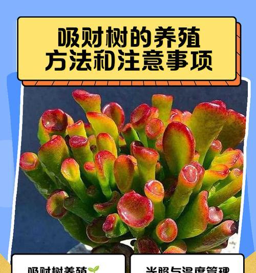 如何处理以招材树长虫子问题（害虫侵袭无处遁形，杜绝以招材树长虫子的威胁）-第1张图片-绿意生活