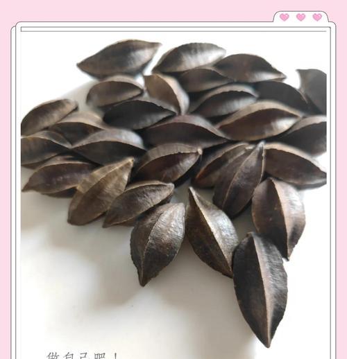 探秘棱角植物的奥秘（认识植物中的角角落落）-第2张图片-绿意生活