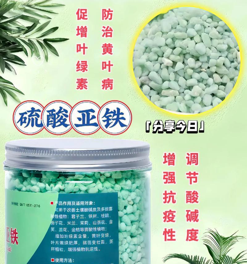 兰花的适应性与肥料选择（探究兰花是否能够浇注硫酸亚铁）-第3张图片-绿意生活